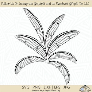 Feuille de bananier SVG - feuille SVG - plante SVG - feuilles Svg - banane Png - Tropical Design Svg - feuilles dessinées à la main - gravure laser - feuille de Maia