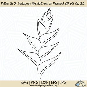 Heliconia Flower Line Art SVG - Tropical Flower SVG - Hawaii Flower SVG - Digital Download - Flower Svg - Flower Clip Art - Line Art Png