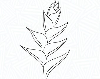 Heliconia Flower Line Art SVG - Tropical Flower SVG - Hawaii Flower SVG - Digital Download - Flower Svg - Flower Clip Art - Line Art Png