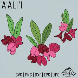 Aalii Plant SVG - Hawaiian Plant SVG - Hawaii SVG Designs - Gravação a laser - Grinalda Svg - Hawaiian Flower Svg - Hawaii Flower Svg