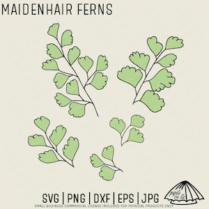 Fougère aux écureuils SVG - fougère d'Hawaï SVG - fichier de coupe fougère - gravure laser SVG - téléchargement numérique - conception inspirée du jardin - « Iwa'iwa