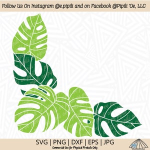 Op de afbeelding: Vier groene en witte monstera bladeren in een hoekontwerp. De bladeren zijn wit omrand en hebben een textuurpatroon. De tekst "SVG | PNG | DXF | EPS | JPG" staat onderaan de afbeelding. De tekst "Commercial Use for Physical Products Only" staat onder de tekst van het bestandstype. De tekst "Follow Us On Instagram @e.pipili and on Facebook @Pipili 'Oe, LLC" staat bovenaan de afbeelding.