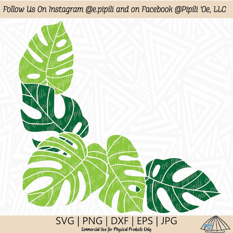 Op de afbeelding: Vier groene en witte monstera bladeren in een hoekontwerp. De bladeren zijn wit omrand en hebben een textuurpatroon. De tekst "SVG | PNG | DXF | EPS | JPG" staat onderaan de afbeelding. De tekst "Commercial Use for Physical Products Only" staat onder de tekst van het bestandstype. De tekst "Follow Us On Instagram @e.pipili and on Facebook @Pipili 'Oe, LLC" staat bovenaan de afbeelding.