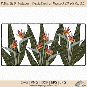 Bird of Paradise Framed SVG - Bird of Paradise Flower SVG - Tropical Flower SVG - Téléchargement numérique - Flower Png - Flower Clip Art - Hawaii
