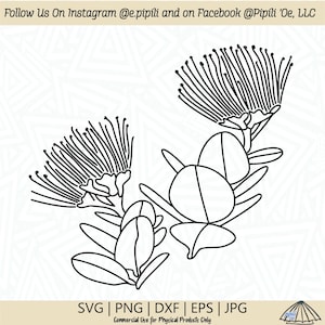 Ohia Lehua Branches Outline SVG - Ohia Lehua Flower SVG - Hawaii Flower SVG - Hawaii Svg - Digital Download - Lehua Flower Clip Art