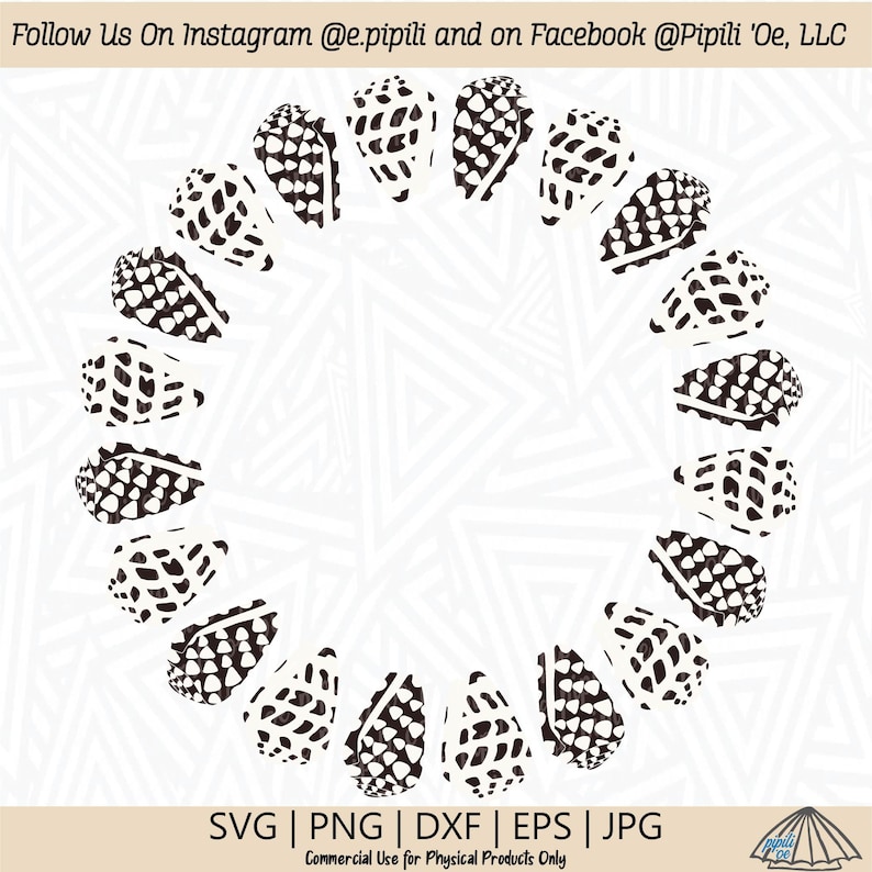 Hebrew Cone Shell Frame SVG - Beach Shell SVG - Shell SVG - Digital ...