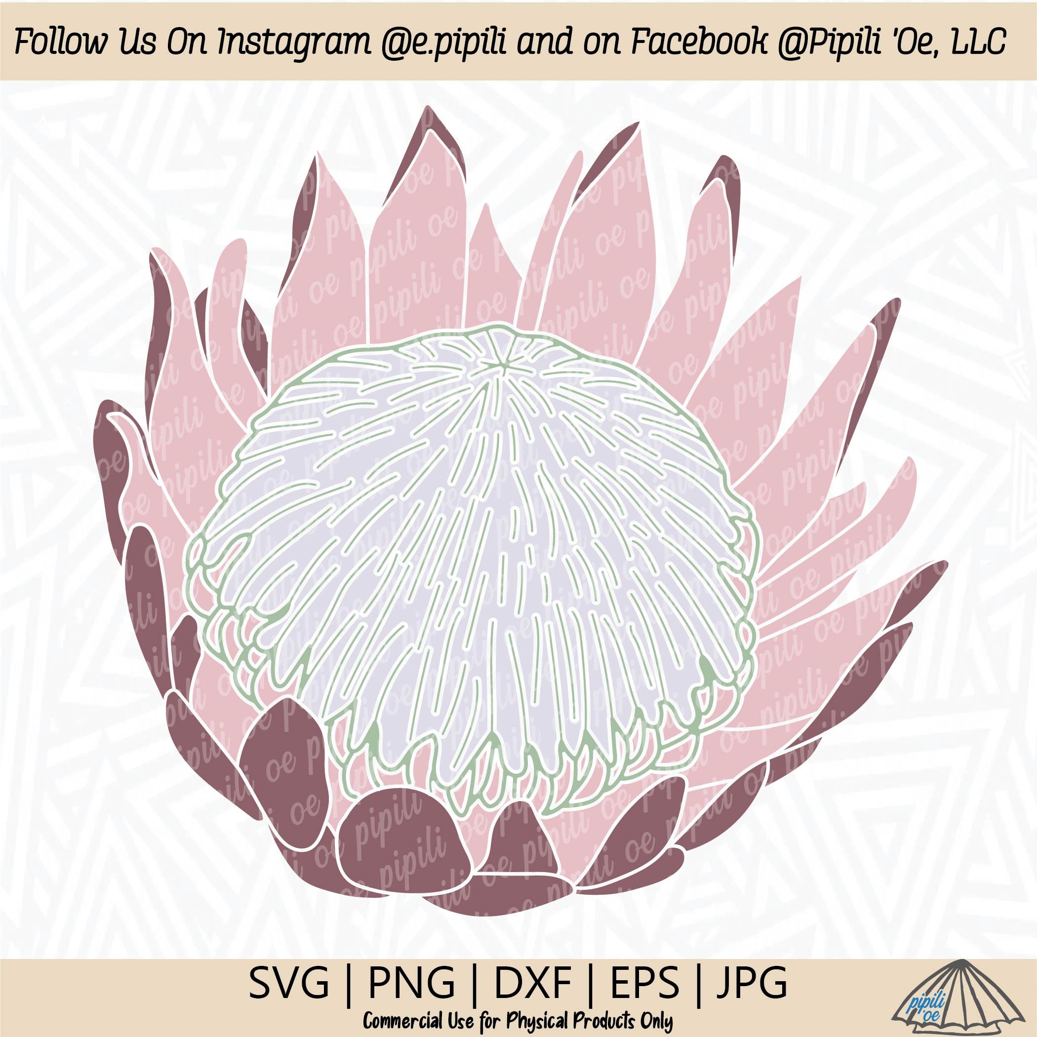 Protea Flower SVG Protea PNG Protea Clip Art Digital Download Protea Flower SVG Protea PNG Protea Clip Art Digital Download