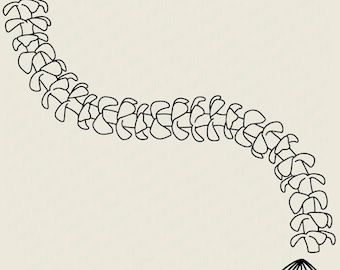 Puakenikeni Lei Curved Outline SVG - Puakenikeni Lei SVG - Puakenikeni Flower SVG - Hawaii Svg - Lei Svg - Digital Download - Lei Clip Art