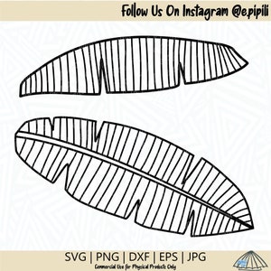 Banana Leaf SVG - Leaf SVG - Plant SVG - Leaves Svg - Banana Svg - Tropical Plant Svg - Digital Download - Clip Art - Cutting File