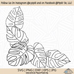 Op de afbeelding: Zwart-witte lijntekening van vier monstera bladeren in een hoekige opstelling. De bladeren zijn gestileerd en hebben een textuur. De tekst "SVG | PNG | DXF | EPS | JPG" staat onderaan de afbeelding. De tekst "Commercial Use for Physical Products Only" staat onder de tekst van het bestandstype. De tekst "pipili" staat in een cirkel rechtsonder in de afbeelding.