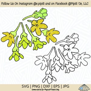 Pakalana Flower Group SVG - Flower SVG - Digital Download - Hawaii Flower Png - Plant SVG - Pakalana Cut File - Pakalana Clip Art - Dxf