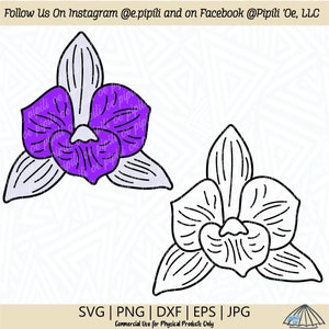Dendrobium Orchid SVG - Flower SVG - Hawaii Flower SVG - Digital Download - Orchid Clip Art - Plant Svg - Tropical Flower Svg - Flower Png