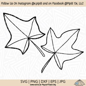 Kukui Nut Leaves Outline SVG - Leaf SVG - Hawaii Plant SVG - Plant Svg - Digital Download - Kukui Nui Clip Art - Kukui Nut Cut File - Png