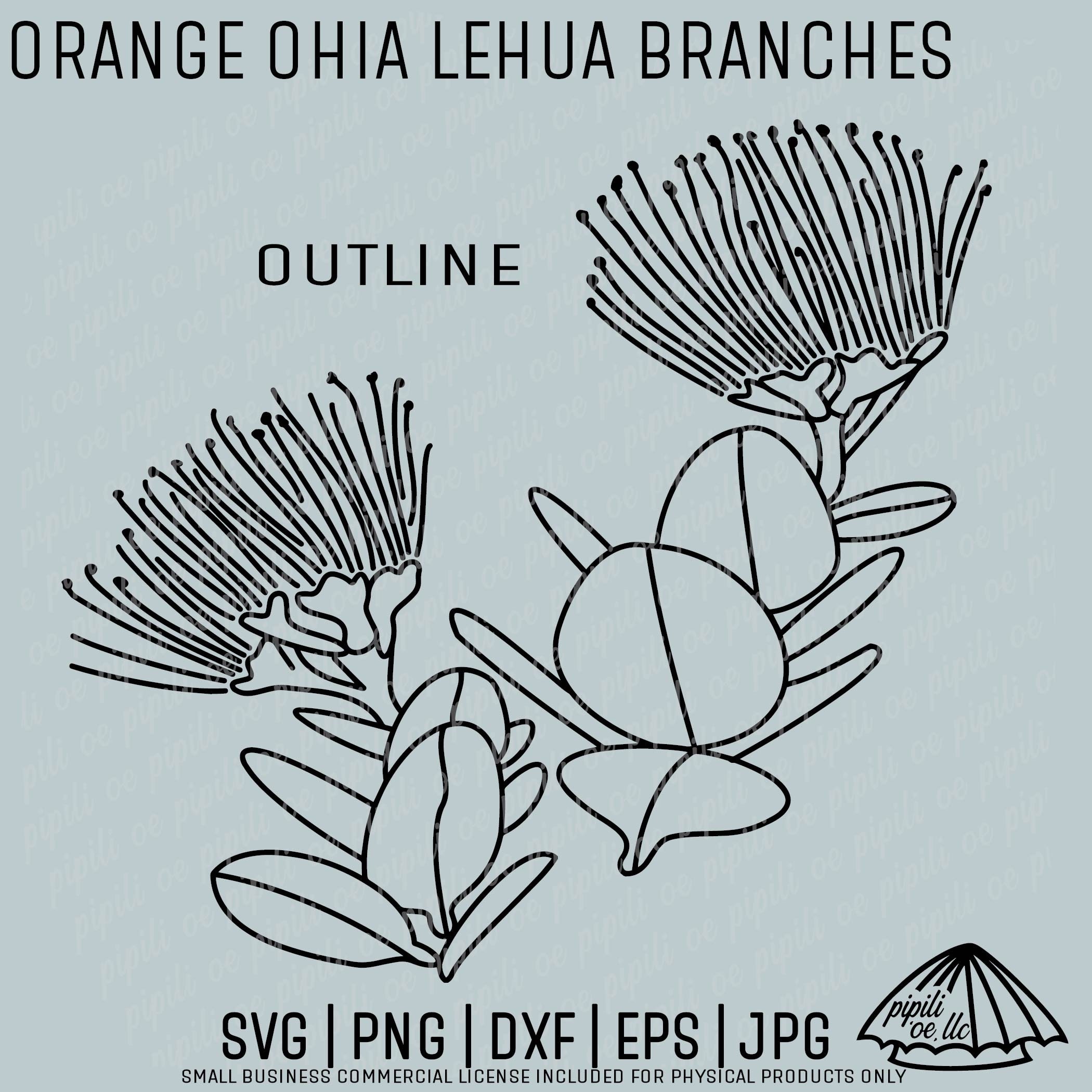 花973koibitomisaki大花printAラインTU(BE・GR) Orange Ohia Lehua Branches SVG - Ohia Lehua Clip Art - Hawaii SVG