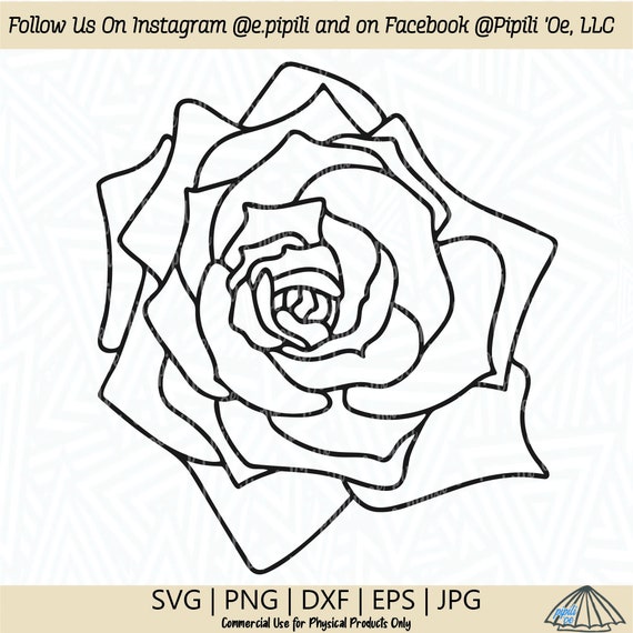 Rose Svg Rose Silhouette Image Rose Outline Image Rose Clip 