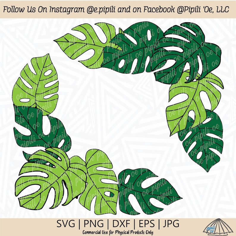 Op de afbeelding: Vier groene monstera bladeren gerangschikt in een hoekontwerp op een witte achtergrond. De bladeren hebben een donkergroene omtrek en een lichtgroen interieur. De tekst "SVG | PNG | DXF | EPS | JPG" staat onderaan de afbeelding. De tekst "Commercial Use for Physical Products Only" staat onder de tekst van het bestandstype. De tekst "Follow Us On Instagram @e.pipili and on Facebook @Pipili 'Oe, LLC" staat bovenaan de afbeelding.