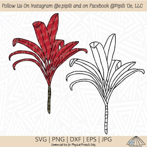 Red Ti Leaf SVG - Planta SVG - Hawaii SVG - Planta Tropical Svg - Hawaii Planta Svg - Descarga Digital - Ti Leaf Clip Art - Ti Leaf Outline Png