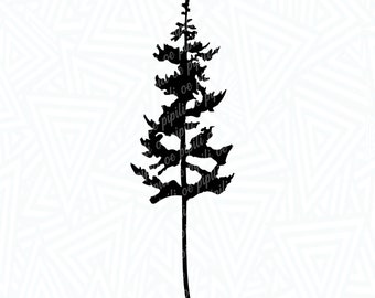Pine Tree Silhouette SVG - Pine Tree SVG - Tree Silhouette SVG - Digital Download - Tree Svg - Pine Tree Clip Art - Pine Tree Cut File
