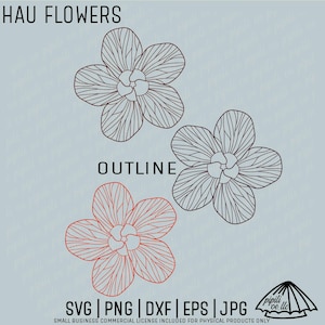 May include: Digital illustration of three Hau flowers in outline form. The top text reads "HAU FLOWERS" and the middle text reads "OUTLINE". The bottom text includes file formats: SVG, PNG, DXF, EPS, and JPG. The background is a light blue color.