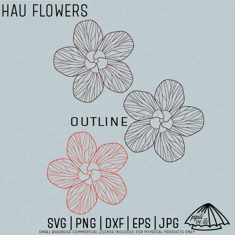 May include: Digital illustration of three Hau flowers in outline form. The top text reads "HAU FLOWERS" and the middle text reads "OUTLINE". The bottom text includes file formats: SVG, PNG, DXF, EPS, and JPG. The background is a light blue color.