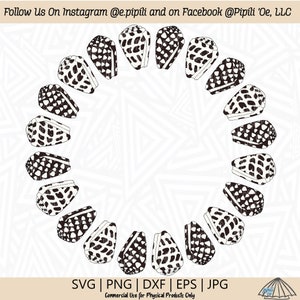 Hebrew Cone Shell Frame SVG - Beach Shell SVG - Shell SVG - Digital Download - Shell Clip Art - Cone Shell Png - Hawaii Shell Svg