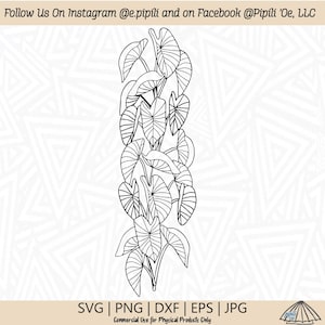 Kalo Plant Border 2 SVG - Taro Plant SVG - Hawaii Plant SVG - Digital Download - Kalo Plant Png - Taro Plant Edge Dxf - Kalo Clip Art