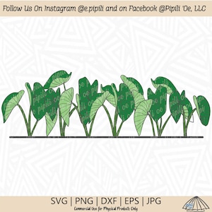 Kalo Plant Border Color SVG - Taro Plant SVG - Hawaii Plant SVG - Digitale Download - Kalo Plant Png - Taro Plant Edge Dxf - Kalo Clip Art
