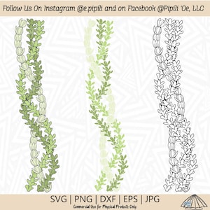 Pakalana i Pikake Leis SVG - Pikake lei SVG - Pakalana Lei SVG - Pobieranie cyfrowe - Lei Design Png - Hawaii Lei SVG - Flower Clip Art