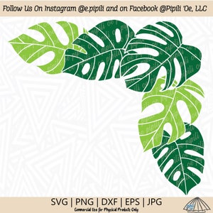 Op de afbeelding: Groene monstera bladeren in een hoekontwerp. De bladeren zijn wit omrand en hebben een textuurpatroon. De achtergrond is wit met een subtiel patroon van driehoeken.