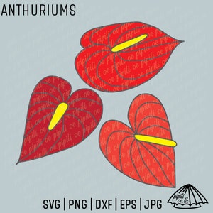 Anthurium SVG - Flower SVG - Plant SVG - Floral Design Svg - Anthurium Clip Art - Hawaii Flower Svg - Laser Engraving - Hawaii Svg Designs