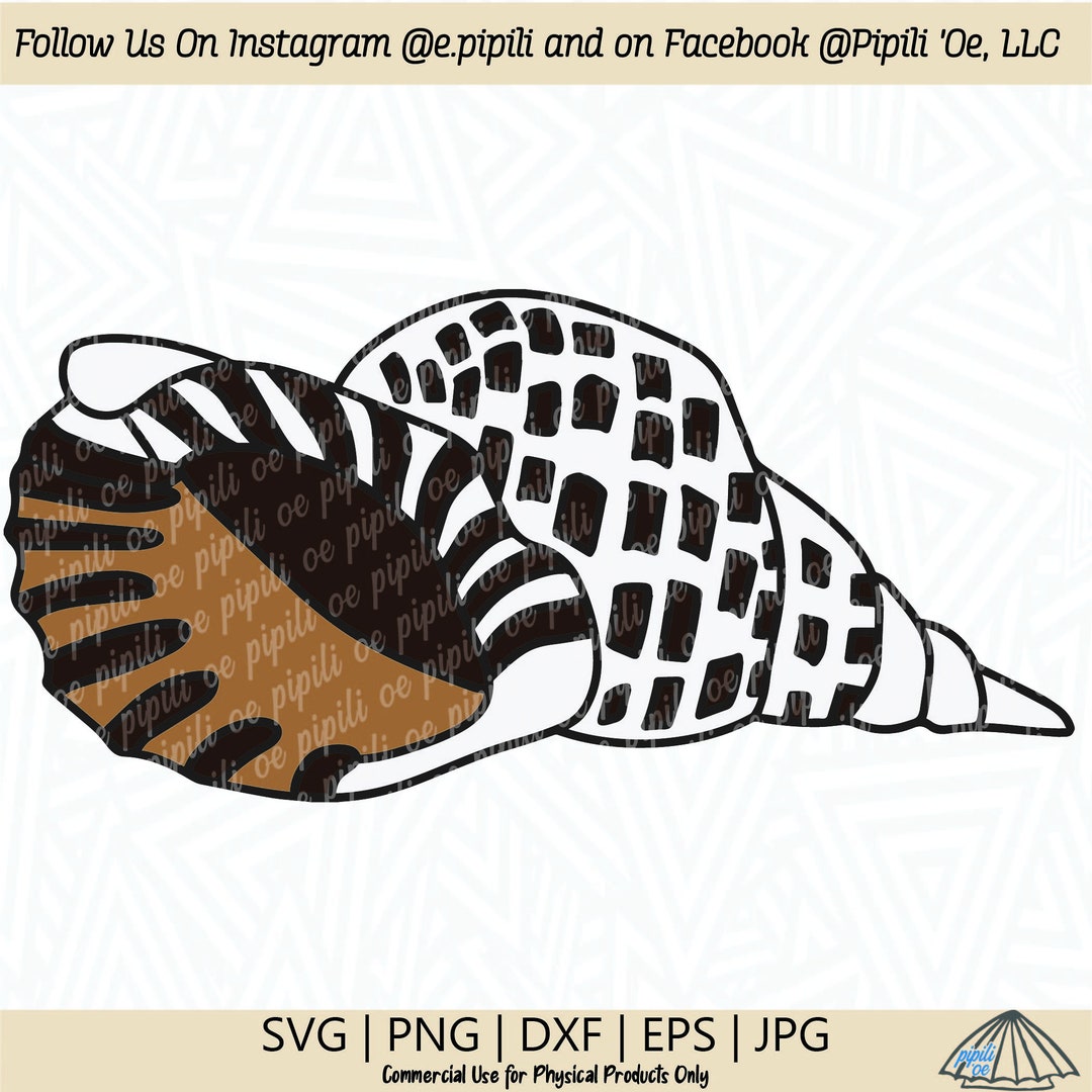 Trumpet Shell SVG - Beach Shell SVG - Shell SVG - Hawaii Shell Svg ...