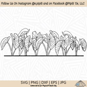 May include: Black and white line art illustration of a row of tropical plants with large leaves. The image is a digital download for commercial use for physical products only.