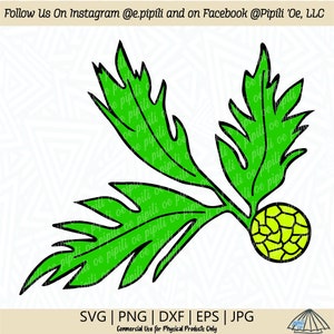 May include: A green leaf design with a yellow and green geometric pattern in the center. The design is outlined in black. The text "SVG | PNG | DXF | EPS | JPG" is at the bottom of the image. The text "Commercial Use for Physical Products Only" is below the file type text.