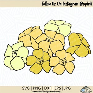 Puakenikeni Flower Cluster SVG - Puakenikeni Flower SVG - Flower SVG - Hawaii Svg - Tropical Flower Svg - Plant Svg - Png - Digital Download
