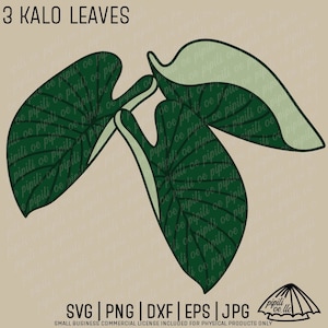 3 Hojas de Kalo SVG - Hoja de Kalo SVG - Hoja dibujada a mano SVG - Grabado láser - Sublimación de Hawaii - Archivo de corte de hoja de Taro - Planta de Hawaii Png - Dxf