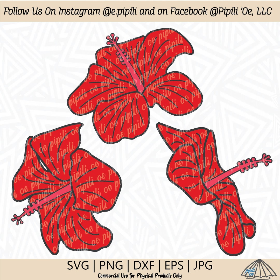 Hibiscus Flowers SVG - Hibiscus Clip Art - Digital Download - Hibiscus ...