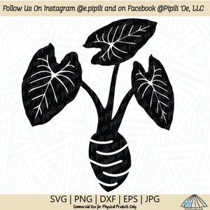 Planta Kalo de 3 hojas SVG - Planta de taro SVG - Kalo SVG - Hoja Png - Planta Svg - Hawaii Svg - Descarga digital - Planta de Hawaii Dxf - Hawaiian Svg