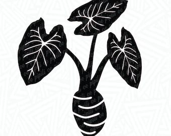 Puede incluir: Silueta en blanco y negro de una planta de taro con tres hojas grandes. La planta está enraizada en un tubérculo grande y redondo. La imagen incluye el texto "SVG | PNG | DXF | EPS | JPG" y "Uso comercial para productos físicos únicamente".