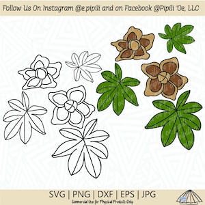 Wood Rose SVG - Pilikai SVG - Hawaii Flower SVG - Digitale Download - Wood Rose Clip Art - Morning Glory Svg - Rose Png - Wood Rose Dxf