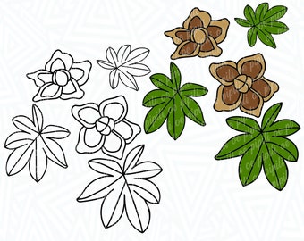 Morning glory clipart /Morning glories hand painted clipart PNG. High Quality 300ppi Big size