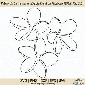 Plumeria lijntekeningen SVG - Plumeria SVG - bloem SVG - digitale download - Hawaii Flower Svg - tropische bloem Svg - Plumeria-illustraties - Png