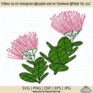 Ohia Lehua Branches SVG - Ohia Lehua Flower SVG - Hawaii Flower SVG - Hawaii Svg - Digital Download - Lehua Flower Clip Art - Ohia Cut File