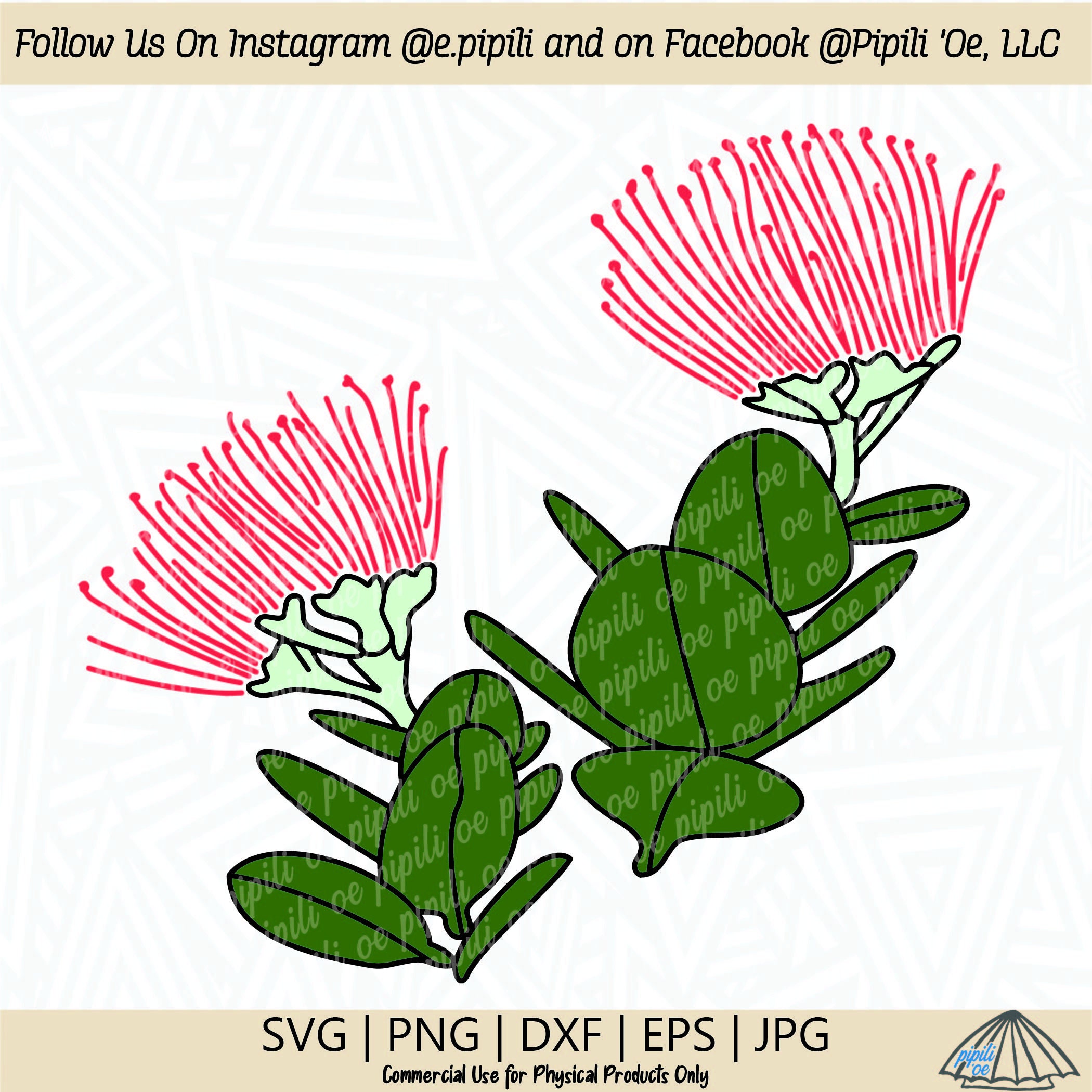 【絶版・大判】ハワイ植物図 A Hawaiian Florilegium 洋書 Amazon.co.jp: ハワイの花300種ガイド: 魅惑の花園 : 武田 和男