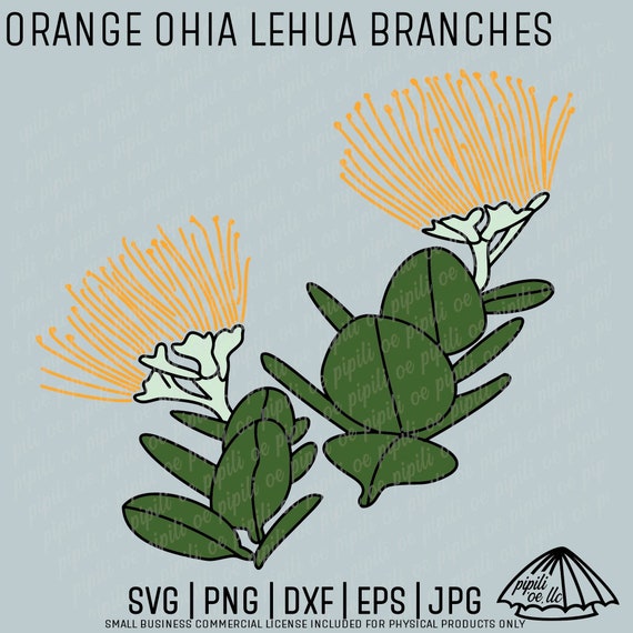 Orange Ohia Lehua Branches SVG - Ohia Lehua Clip Art - Hawaii SVG