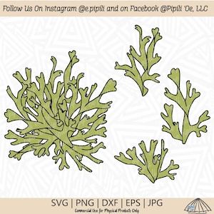 Limu - Seaweed SVG - Seaweed SVG - Limu Clip Art - Digital Download - Seaweed Png - Ocean Plant Svg - Limu - Seaweed Cut File - SeaWeed Png