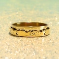 Gold Swimming Fish Spinner Ring: Stainless Steel Anxiety Ring, Waterproof Tarnish-Free
