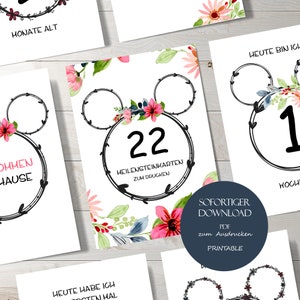 Cartes étapes bébé fille Cartes étapes bébé fille Cartes mensuelles bébé imprimables Cadeau naissance Télécharger
