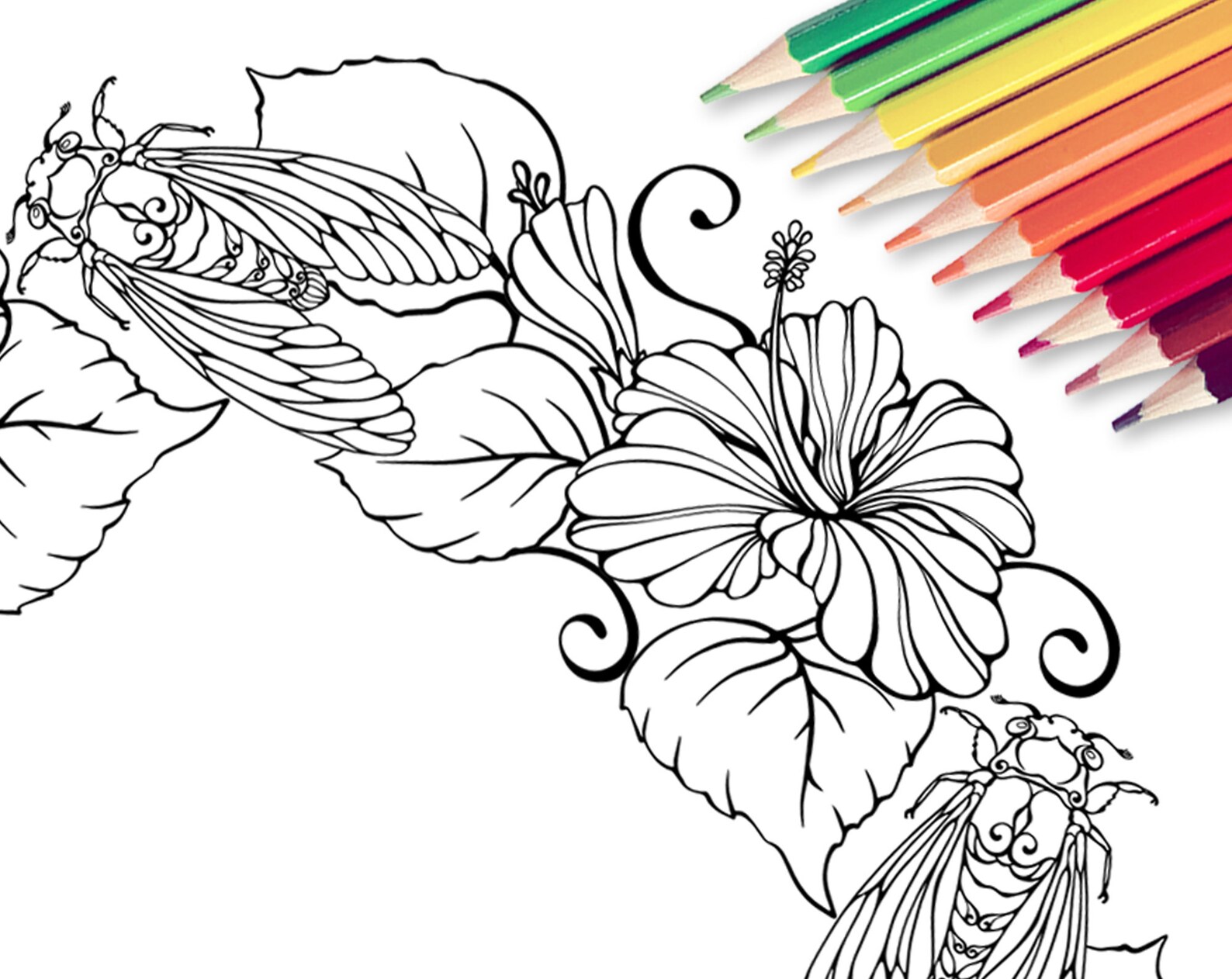 Little Cozy Town, Coloring Page, Printable Adult Coloring Books PDF