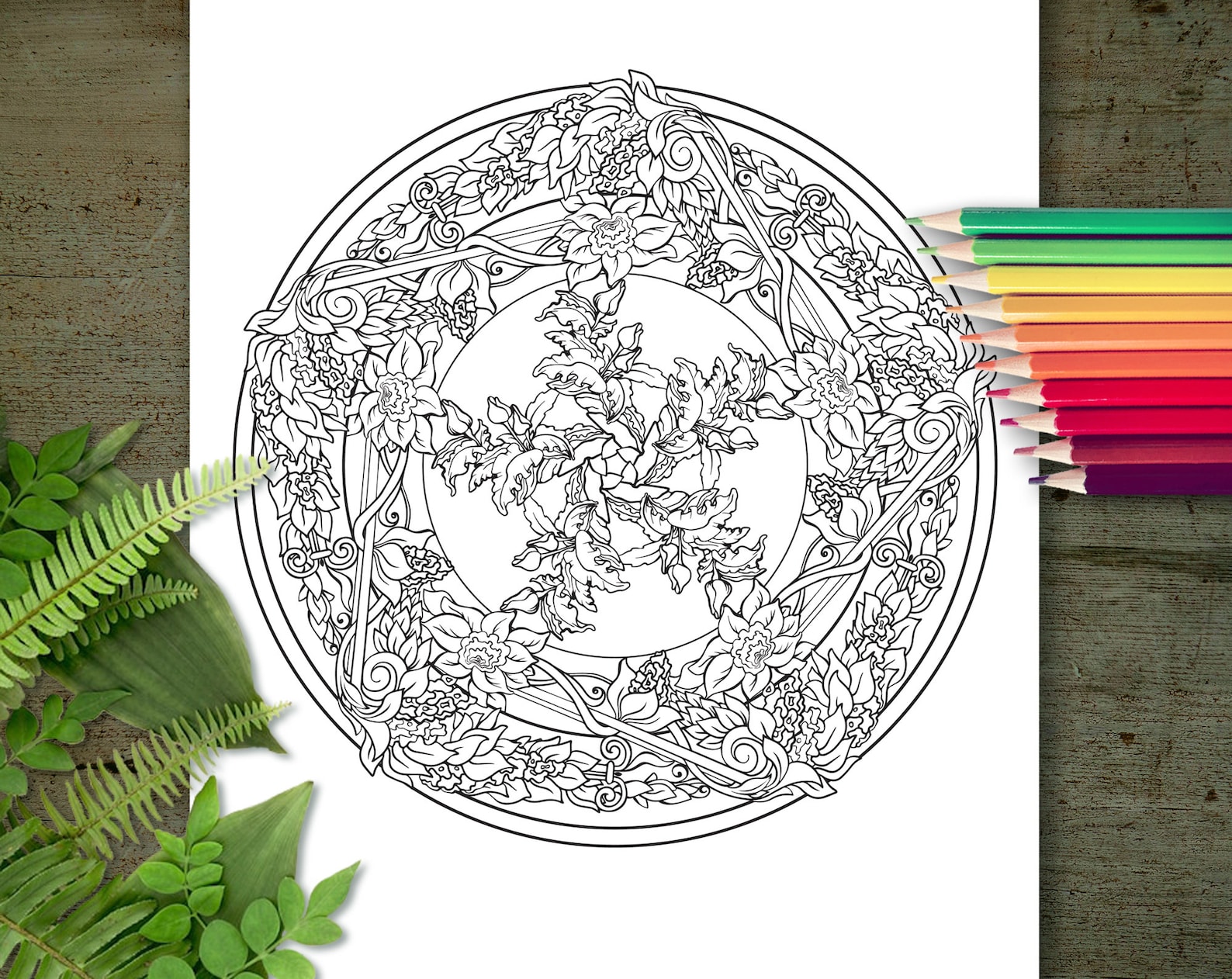 Secret Garden Coloring Page Printable Adult Coloring Books - Etsy
