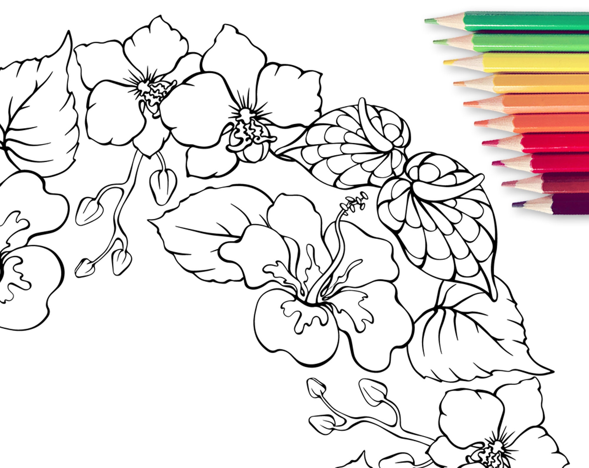 Little Cozy Town, Coloring Page, Printable Adult Coloring Books PDF